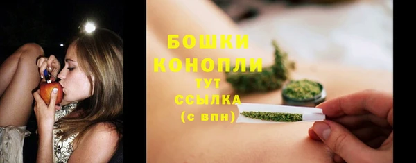 прущие крисы Киренск
