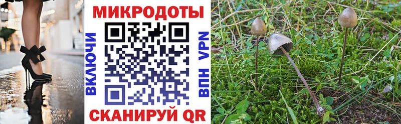 Галлюциногенные грибы MAGIC MUSHROOMS Купить закладки Елизово